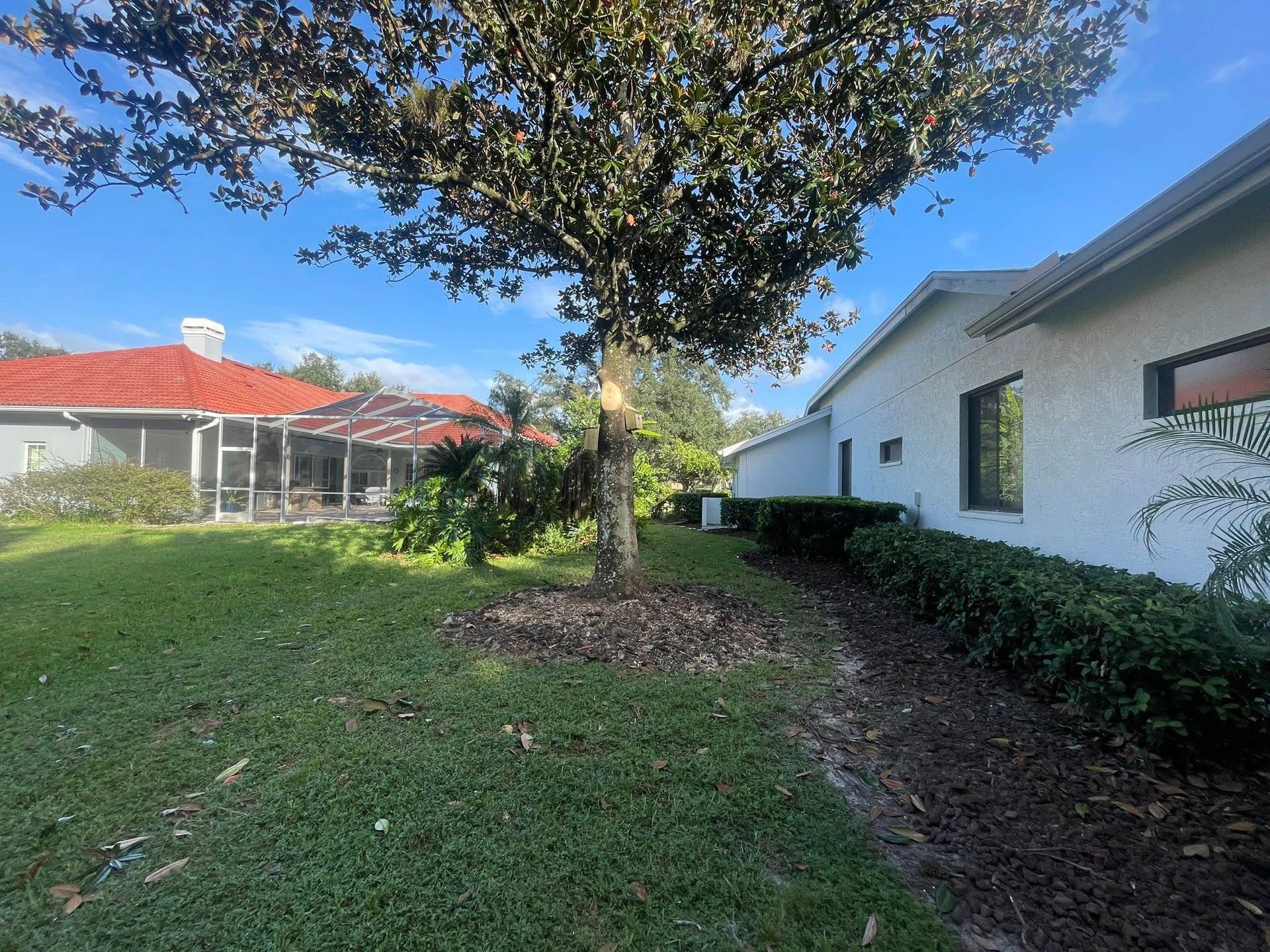 Backyard with green grass, houses, trees, and blue sky.