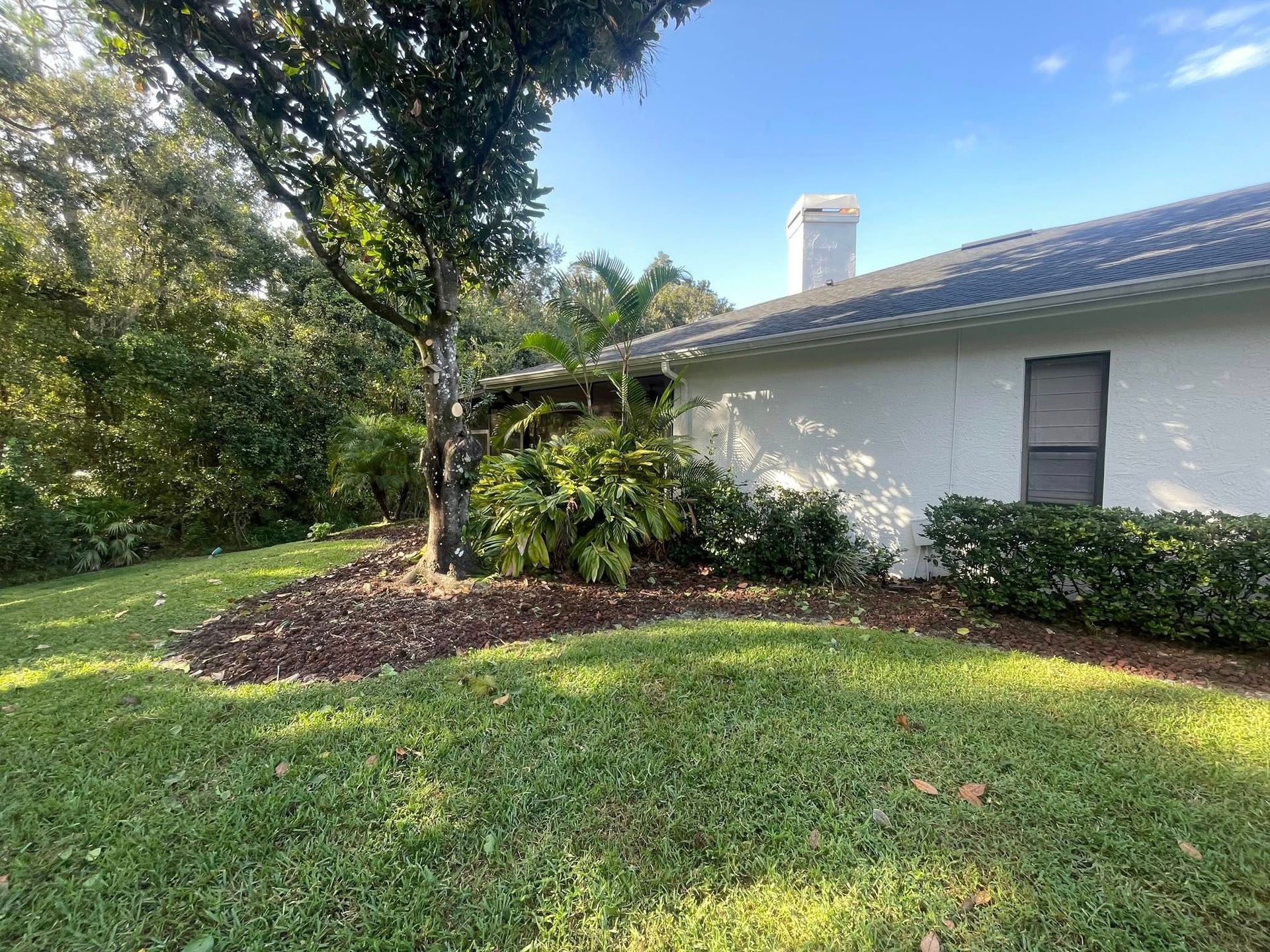 Exterior of a house with a tree and bushes; lawn and blue sky in background.
