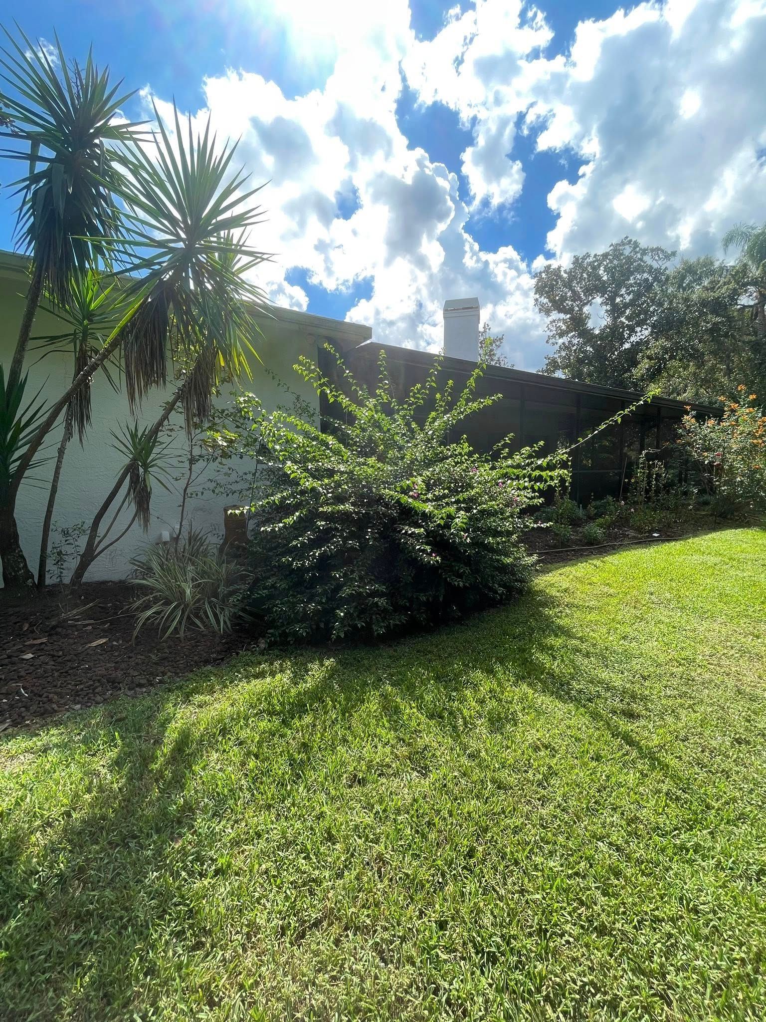 Lush green lawn slopes up to a house with white walls, palm trees, and a cloudy blue sky.