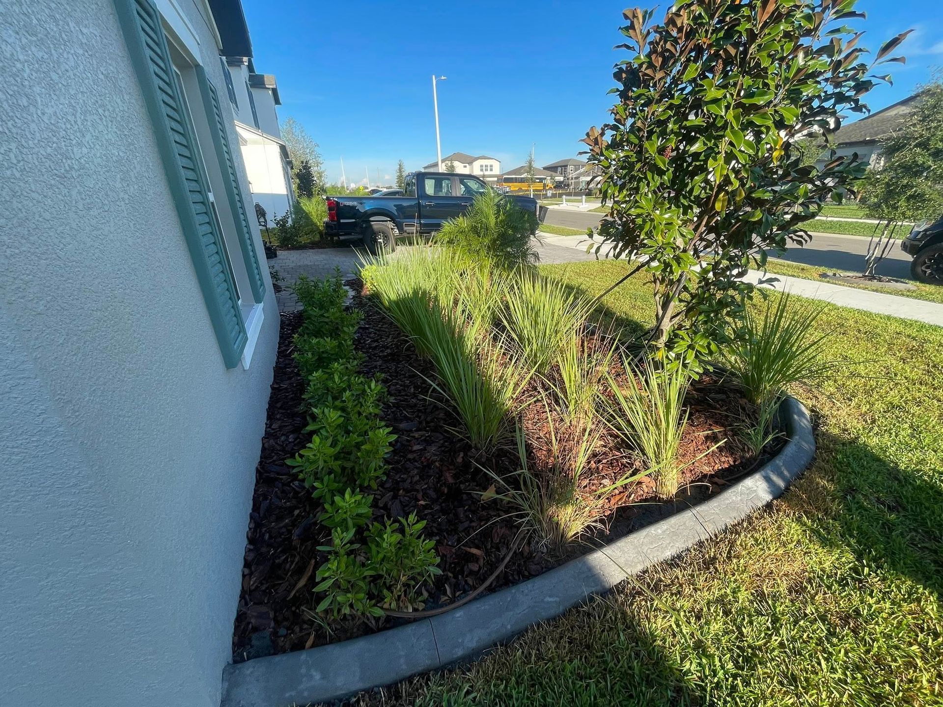 Landscaped yard with concrete border, plants, mulch, and a house with green shutters on a sunny day.