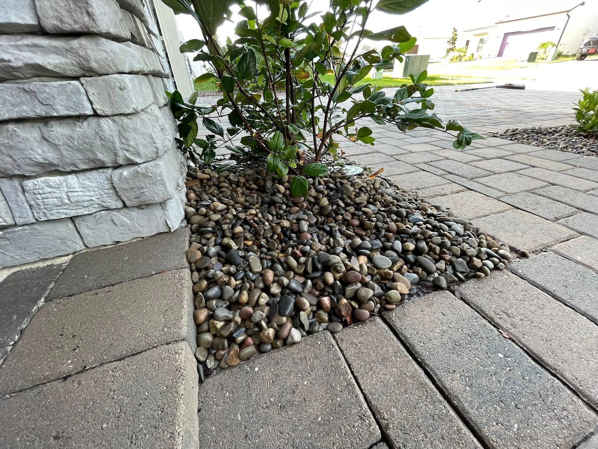 Gravel bed with small tree at the base of a stone column and a paved walkway.