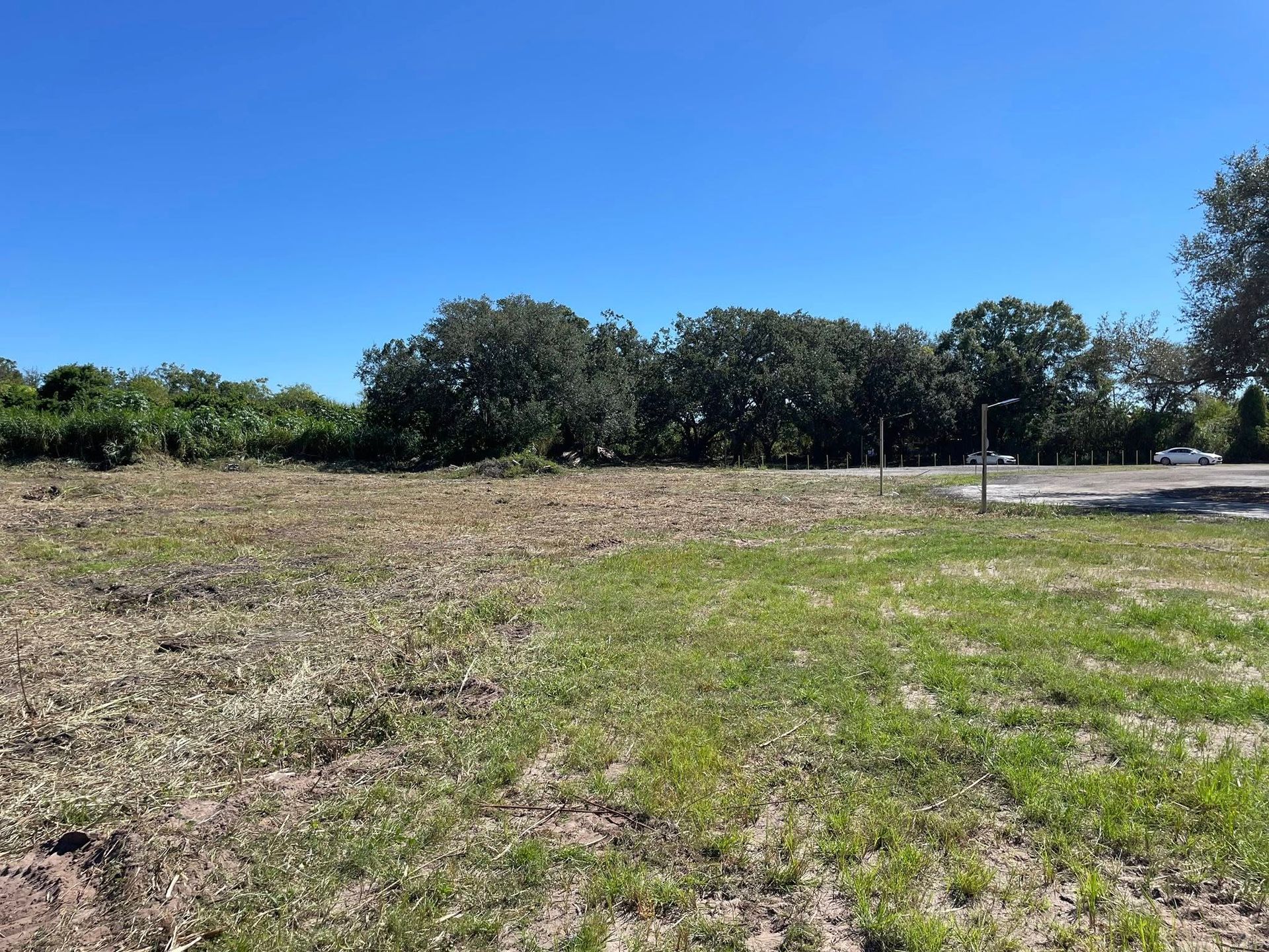 Open, grassy lot with trees in the background under a blue sky.