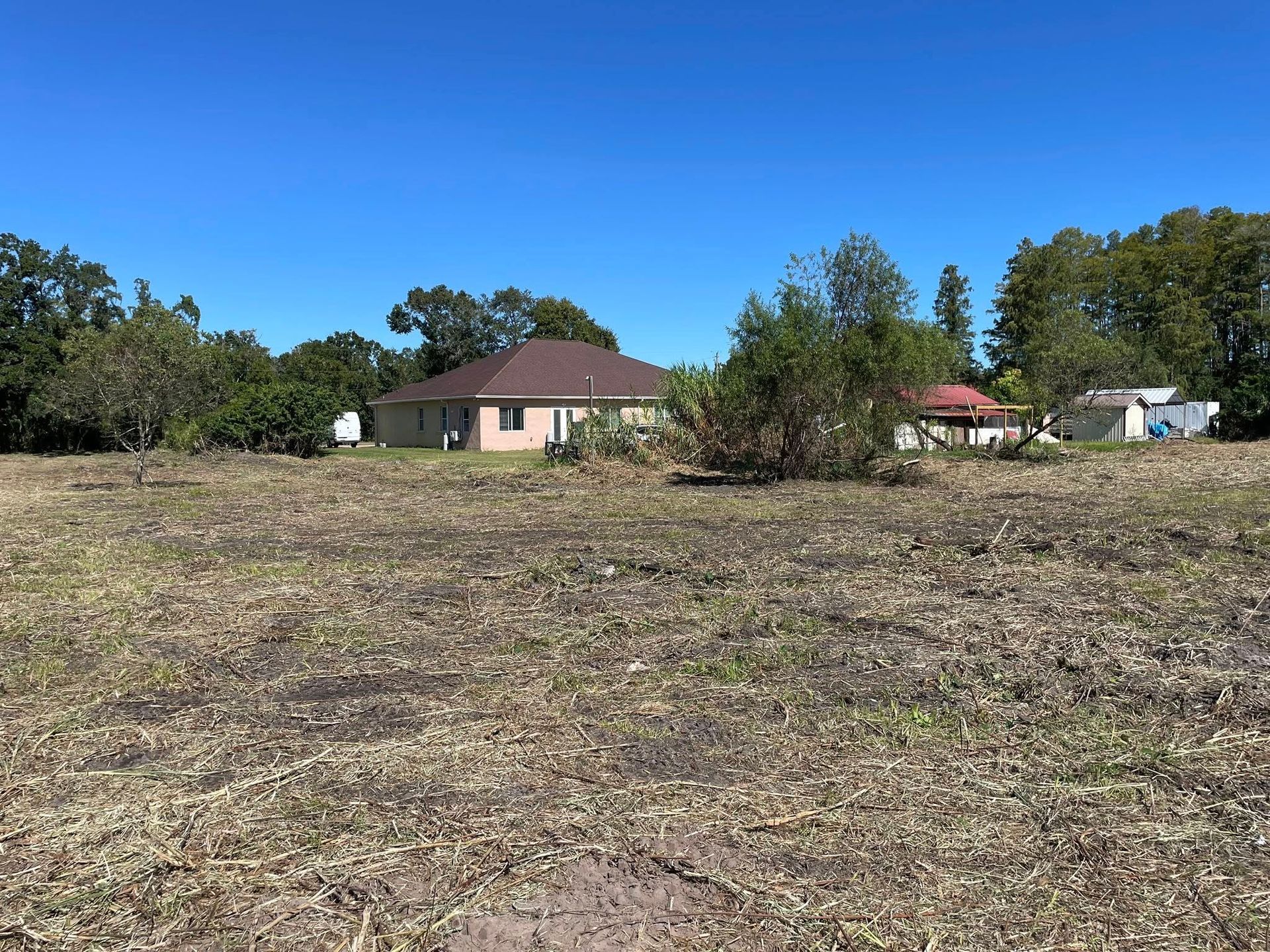 An empty, overgrown lot with a house visible in the background against a clear, blue sky.