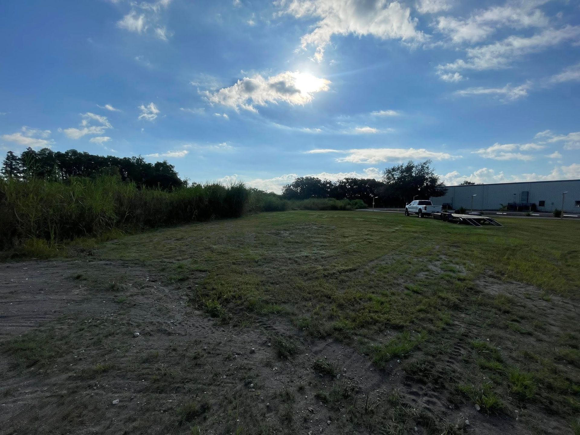 Grassy field under a bright blue sky with sparse clouds. Trees and a building in the distance.