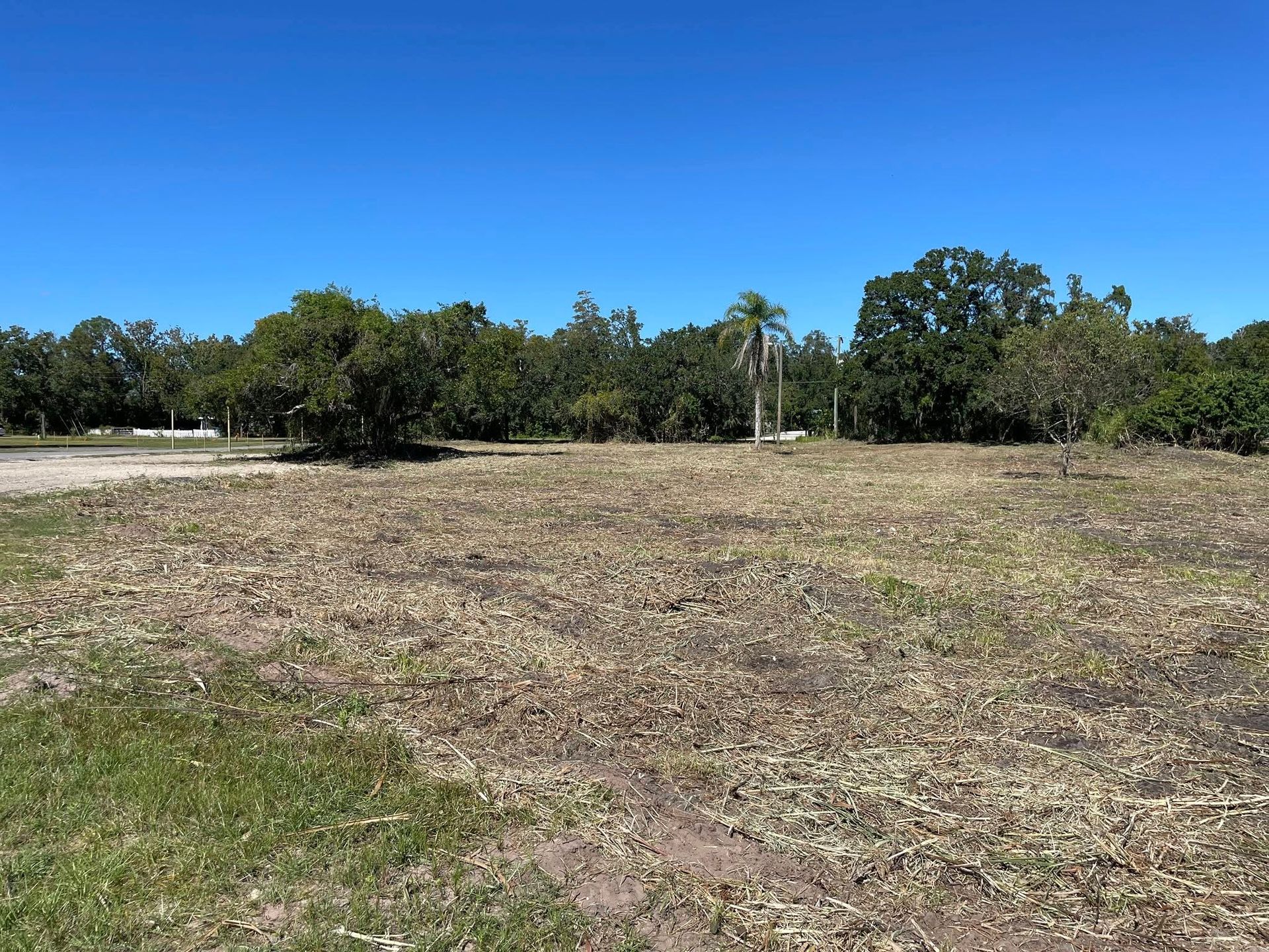 Open field with dried grass, surrounded by trees under a clear blue sky.