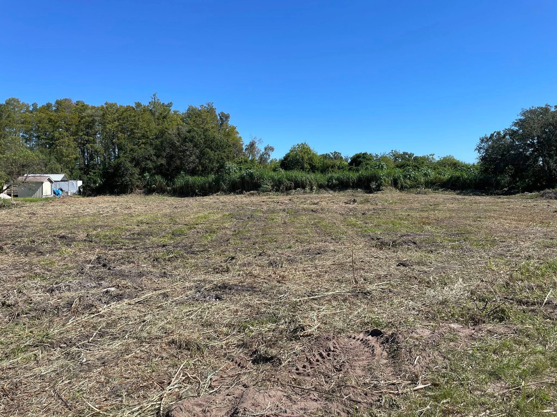 Cleared field with brown/green grass, trees in the background, blue sky.
