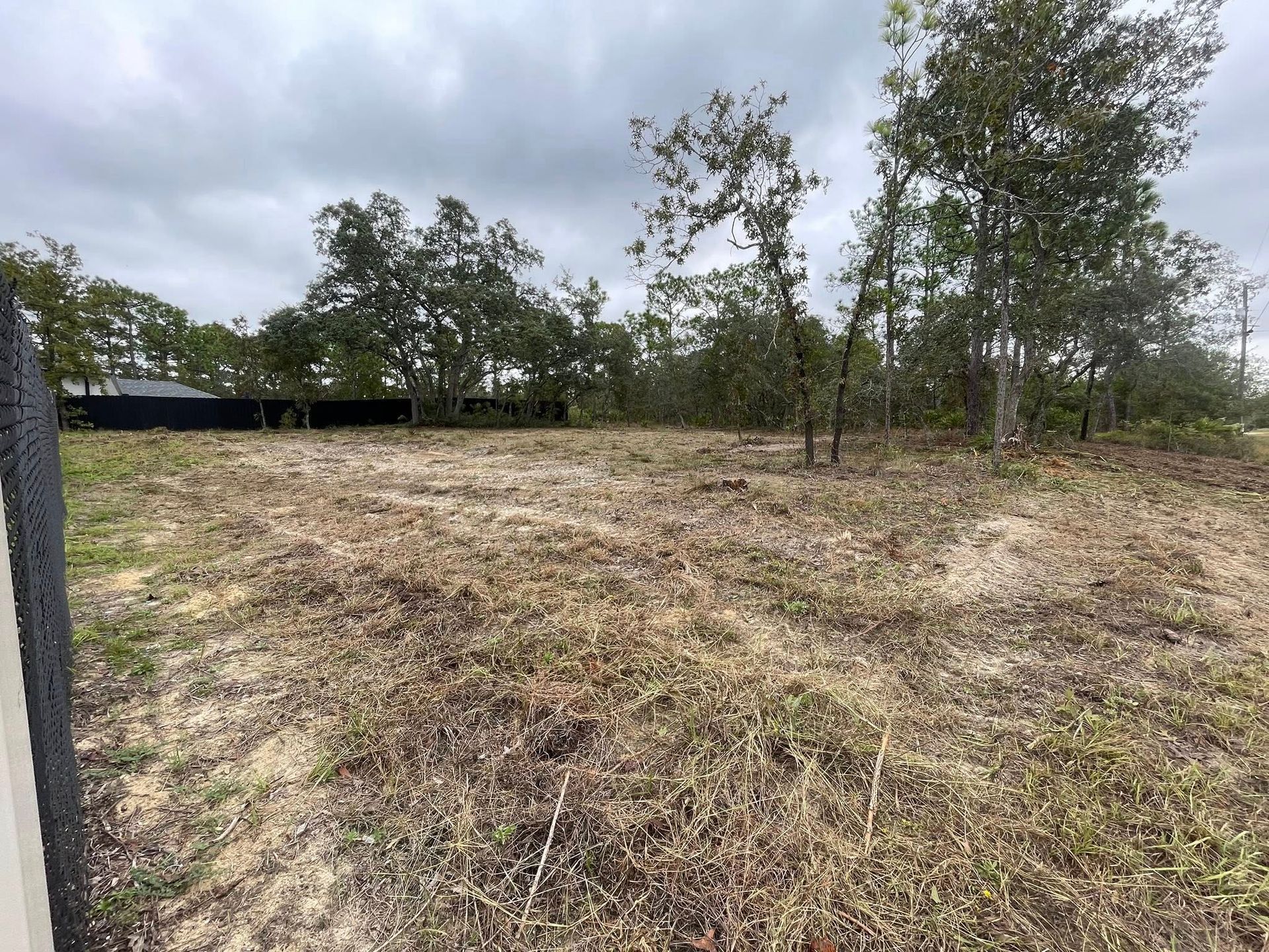 Cleared lot with dry brush, scattered trees, and a cloudy sky. A black fence is on the left.