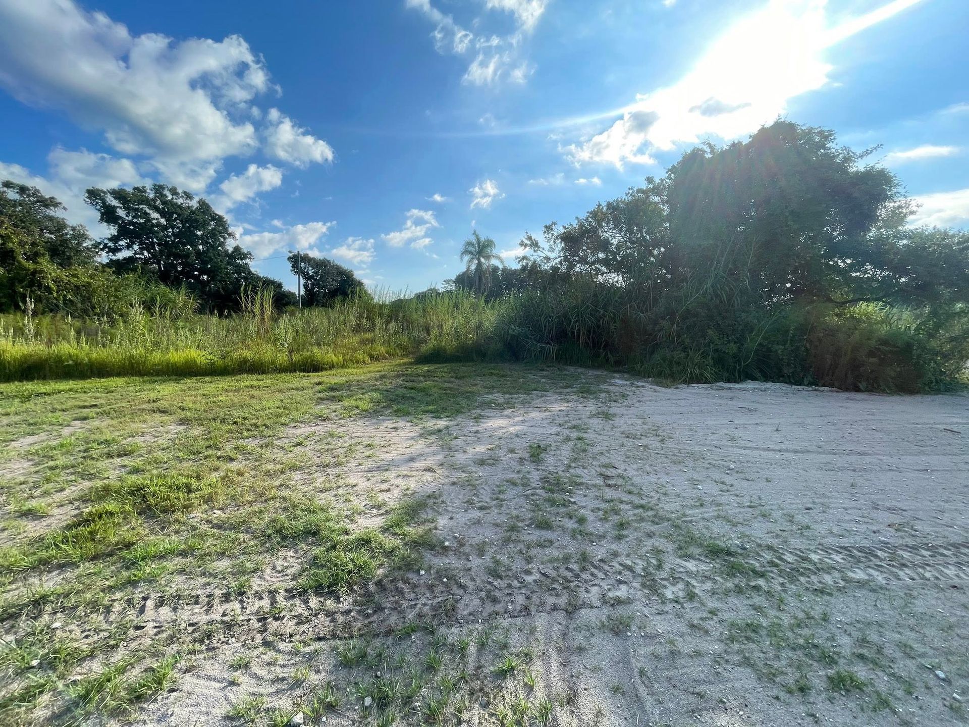 Sandy path leading to brush and trees under a sunny, blue sky with clouds.