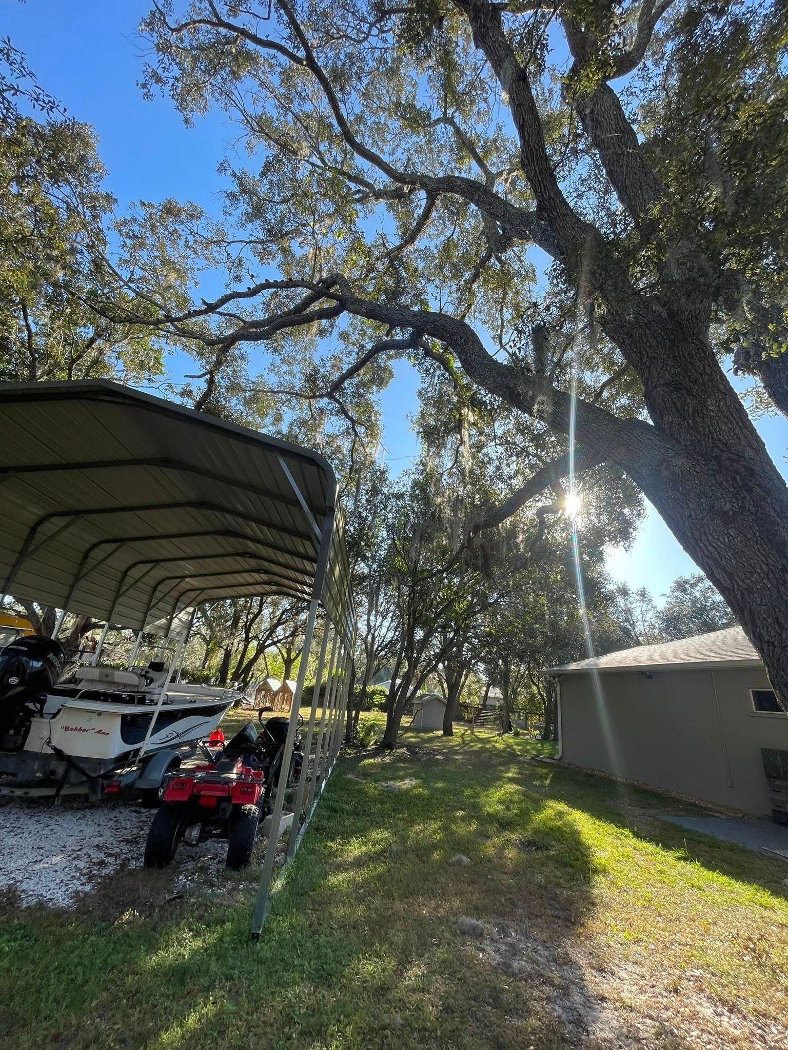 Vehicles under carport with tree casting shadows. Bright sun, green grass, and small building.
