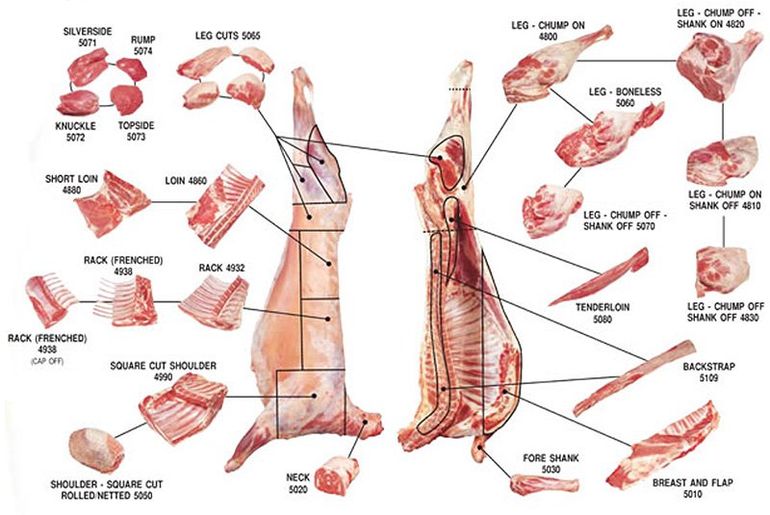 Pork Cuts Chart