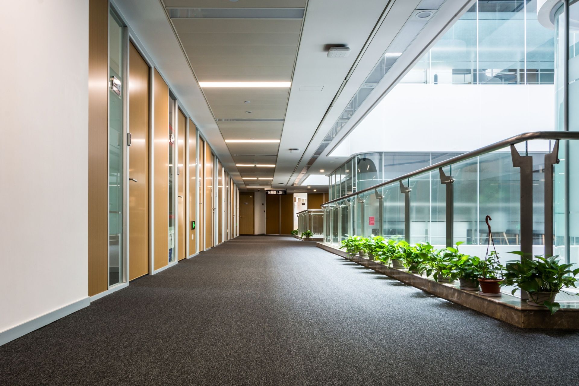 Empty modern office hallway with glass walls, carpeted floor, and potted plants along a bright corridor