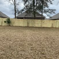 Wooden fence surrounding a grassy backyard.