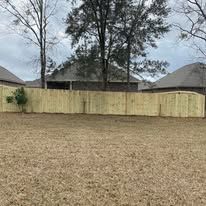 Backyard with a wooden fence. Overcast sky. Brown grass. Bare trees in the distance.
