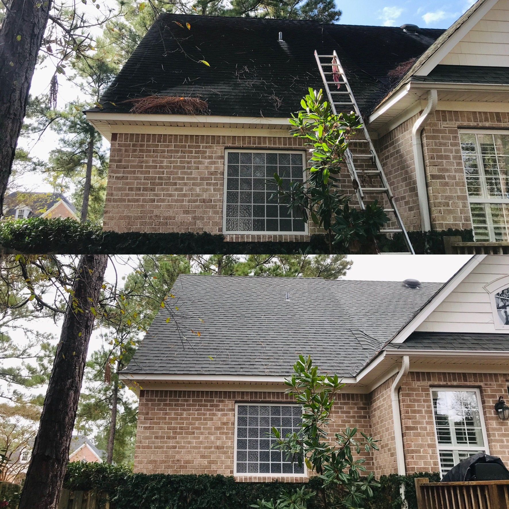 Roof Cleaning — Wilmington, NC — Pearce’s Pressure Washing