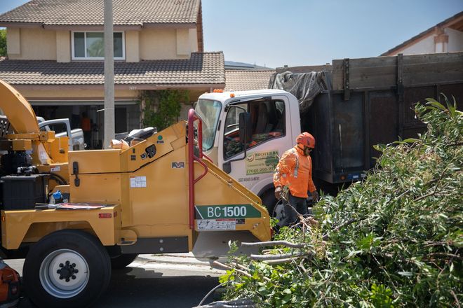 Construction worker beside yellow wood chipper and truck in a suburban driveway