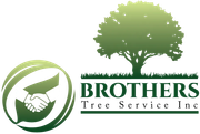 Brothers Tree Service Inc. logo with green tree and handshake icon
