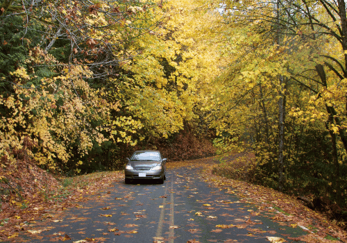 Autumn Preparedness Tips for Your Vehicle