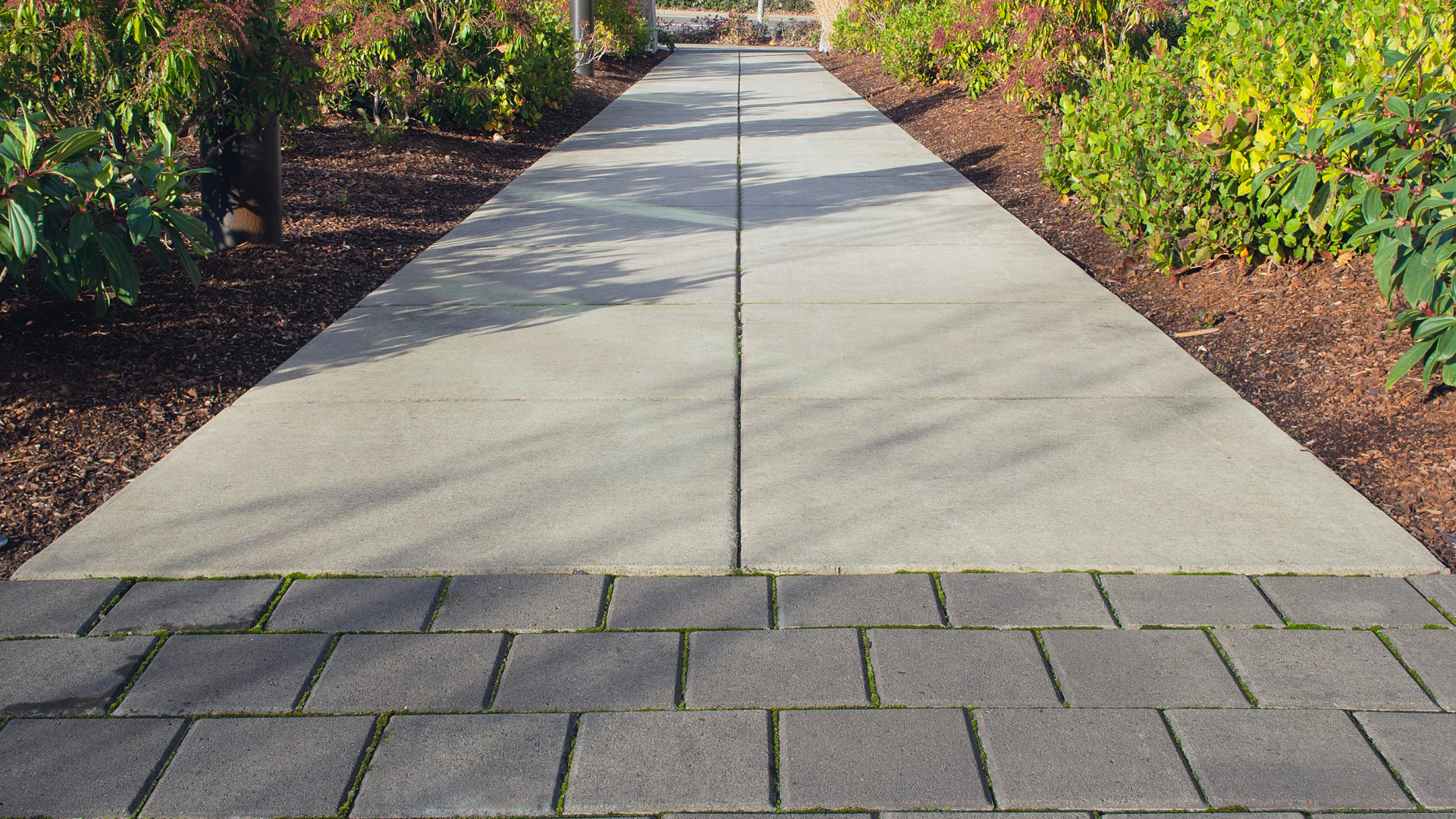 Lush green lawn with a curved border meets a rock and shrub garden.