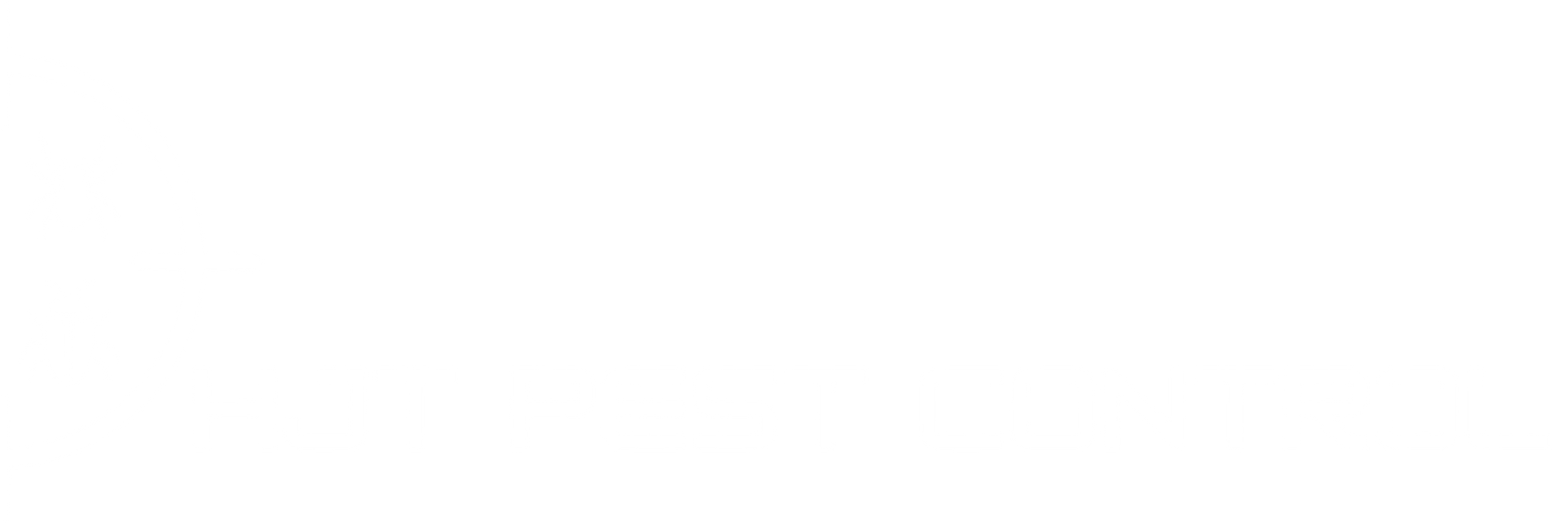 HJT Pest Control logo with target and bugs in a white colour