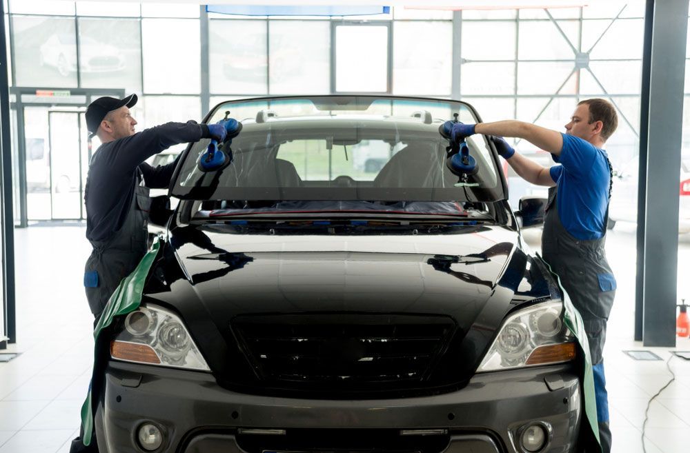 Automobile Workers Installing Windscreen on Black Car — ADAS Services in the Southern Highlands, NSW