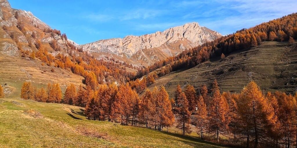 Una valle piena di alberi e montagne sullo sfondo