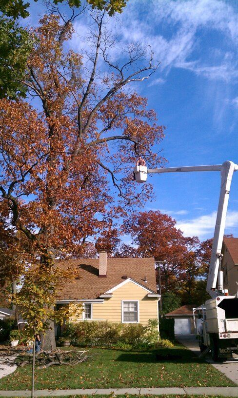 Waterford Township Tree Trimming