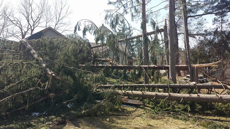Emergency Tree Service Waterford Township