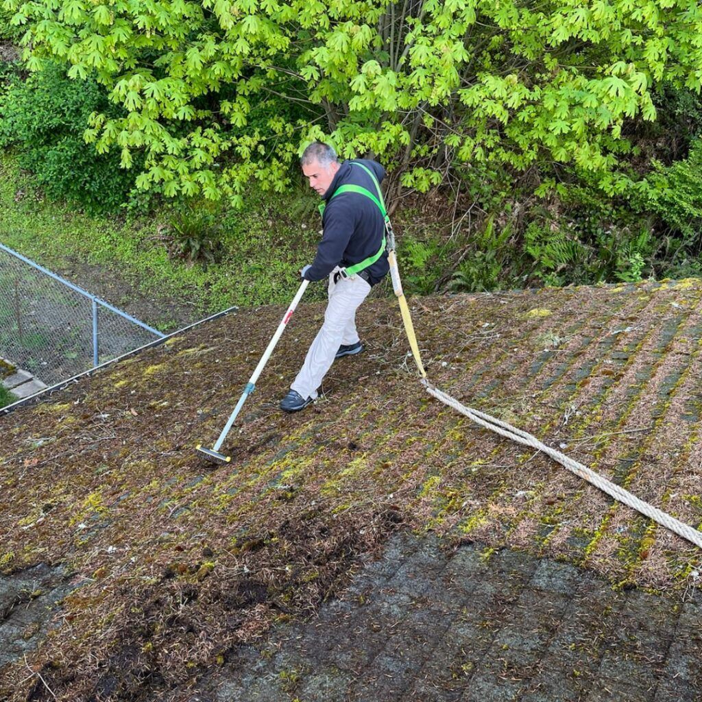 Person on a mossy roof using a long-handled tool, with a hose trailing behind.