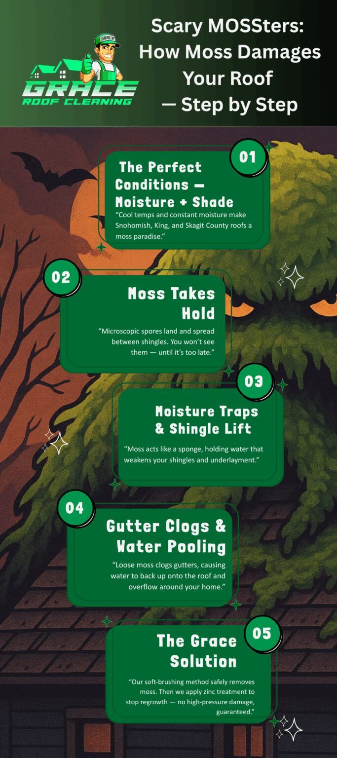 Infographic titled “Scary Mosquitoes” with green forest background and four numbered safety steps.