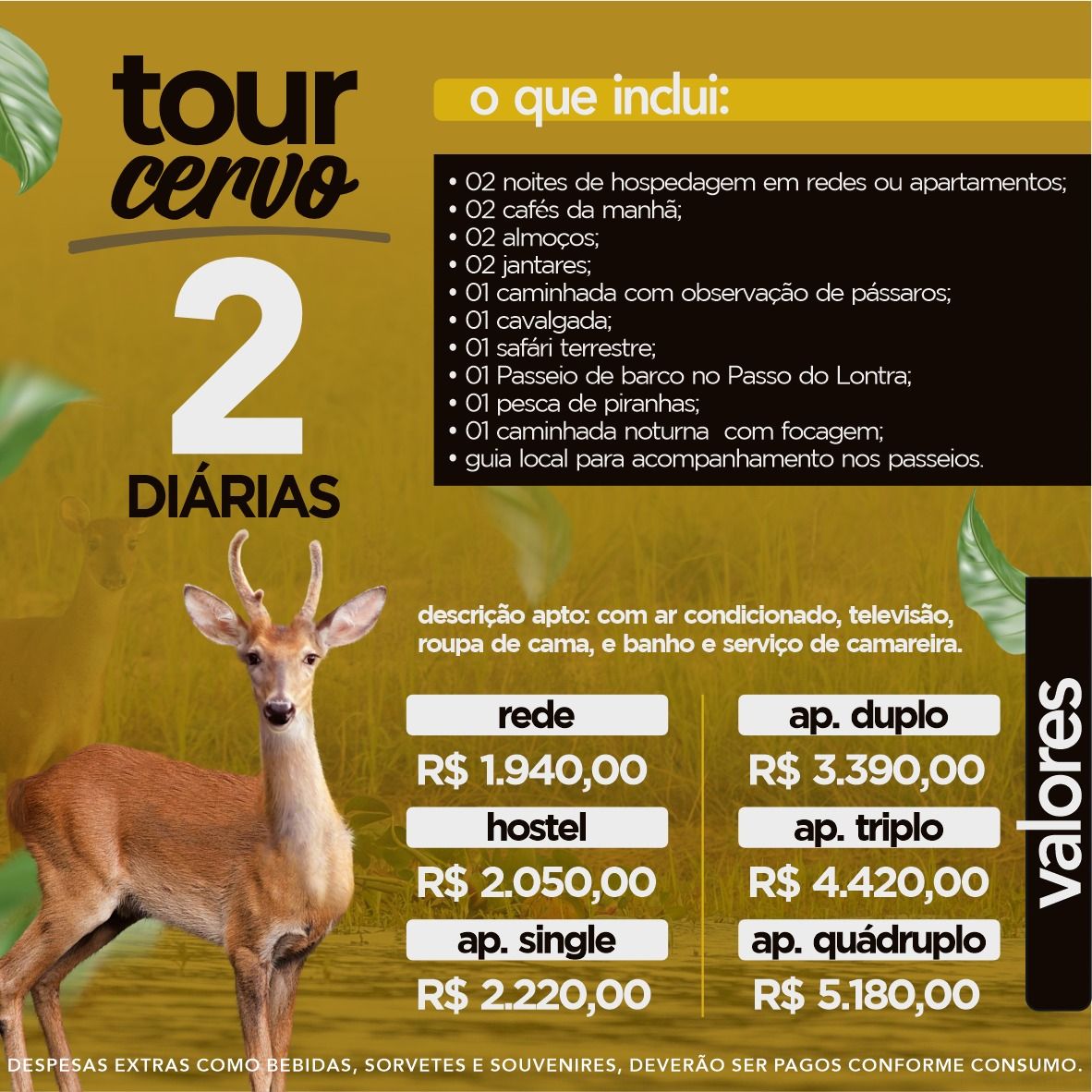 Um pôster com um veado e as palavras tour cervo nele