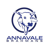 Annavale logo