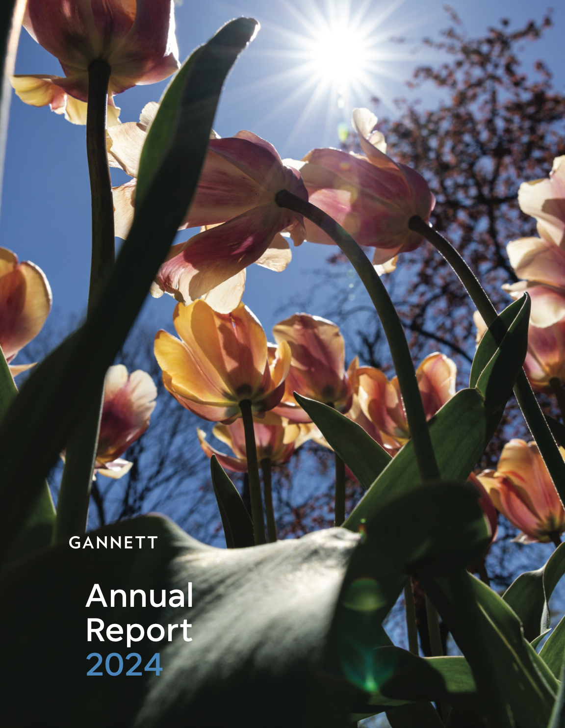 Thumbnail of Annual Report