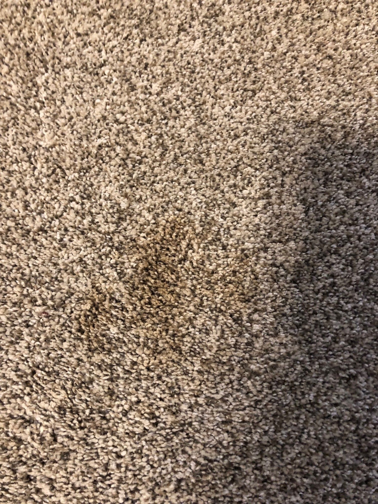 a close up of a carpet with a stain on it
