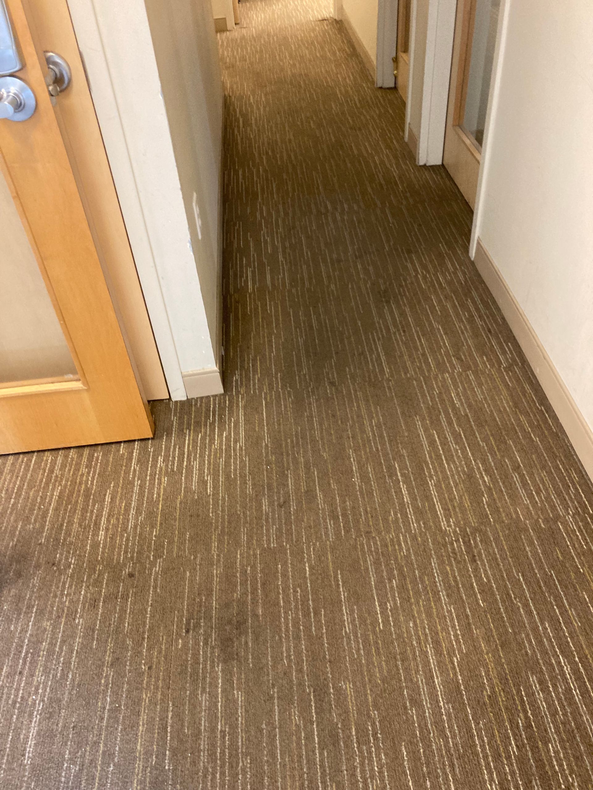 A narrow indoor hallway featuring light brown, textured commercial carpet with a striped pattern between two office doors.