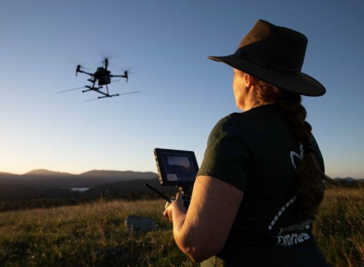 A woman using a remote control to control a drone for conservation