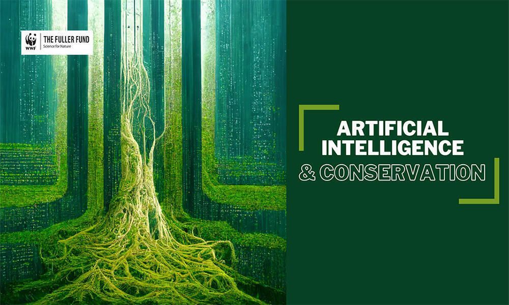 Artificial Intelligence and Conservation: Prediction