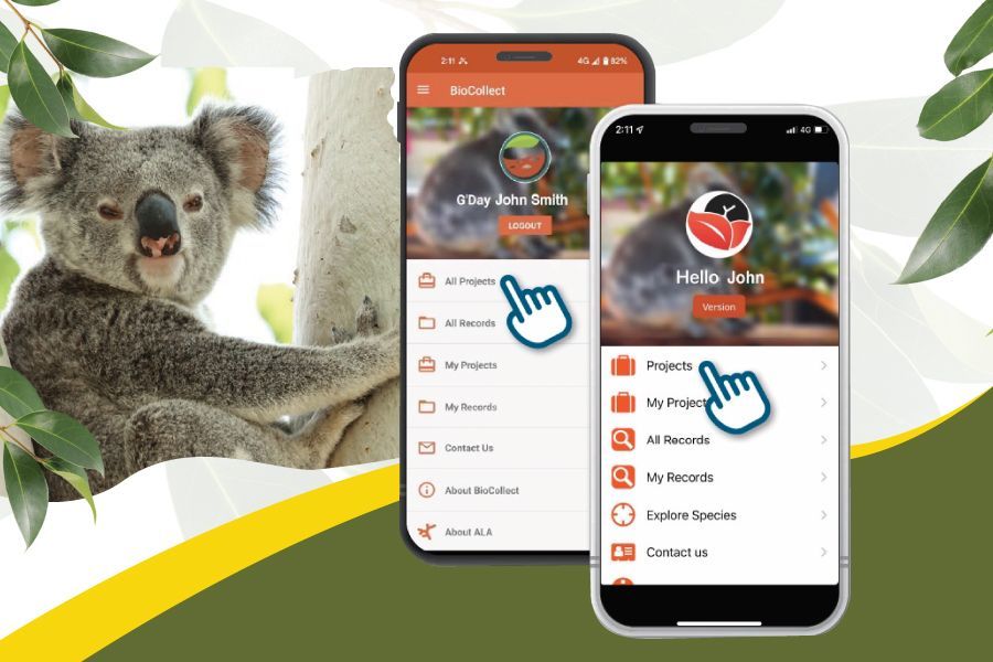 BioCollect App for Koala Mapping