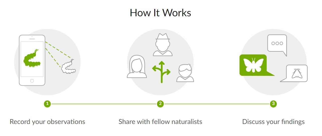 A diagram of inaturalist