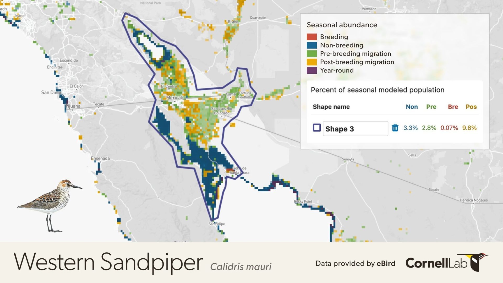 Relative abundance of Western Sandpiper in Southern California and Northern Mexico.