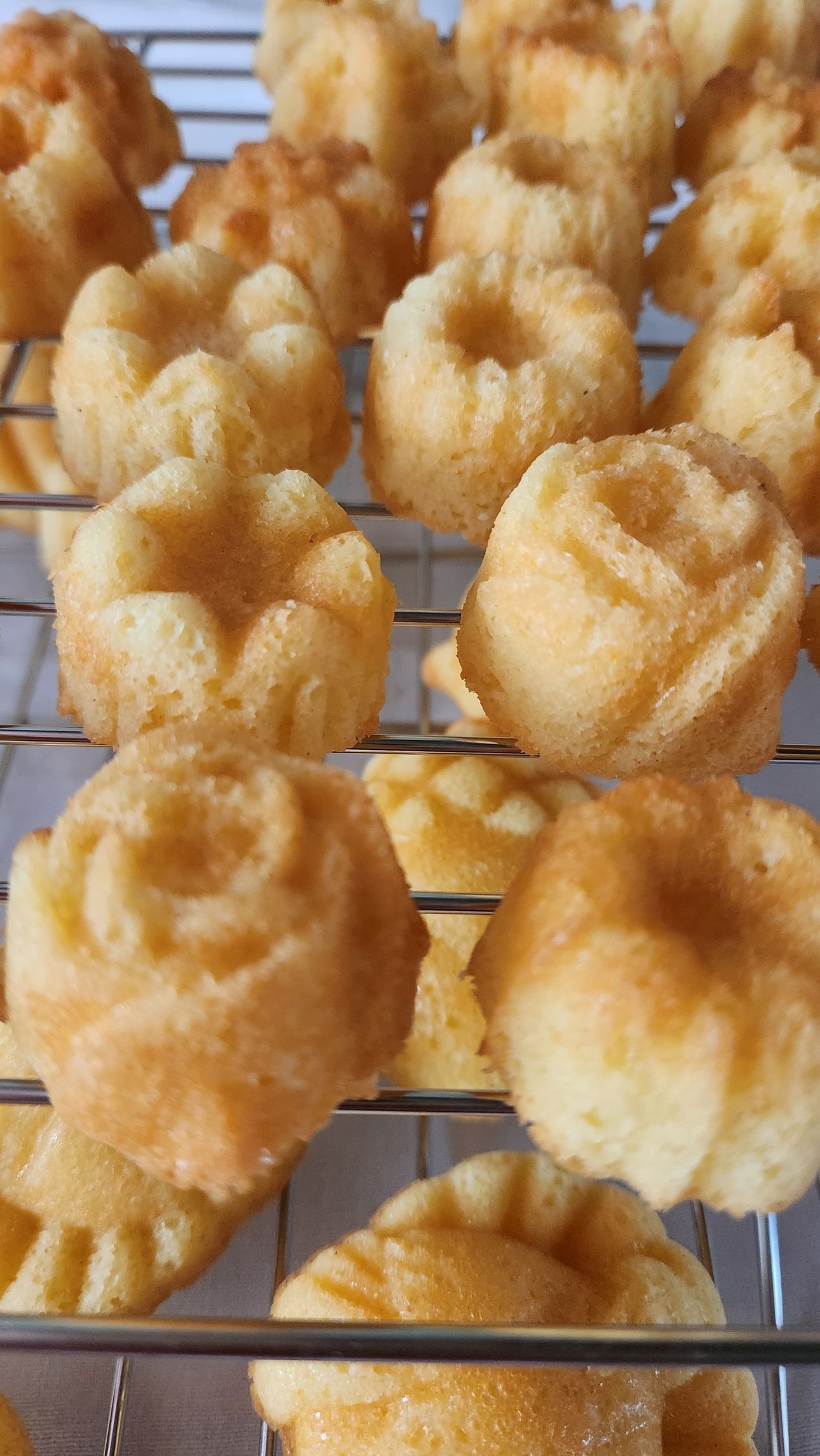 20_Orange Zest Pound Cake Bites--Mini
