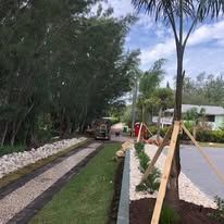 A car is driving down a gravel driveway next to a palm tree.