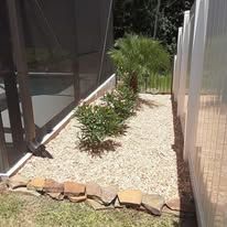 There is a fence in the background and a garden in the foreground.