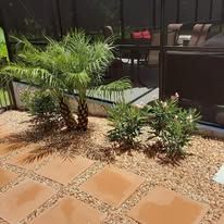 A patio with a palm tree in the middle of it.