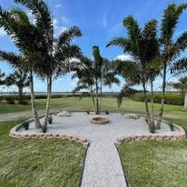 There is a fire pit in the middle of the yard surrounded by palm trees.