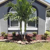 A house with a palm tree in front of it.