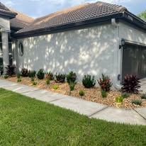 A house with a lush green lawn and a sidewalk in front of it.