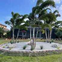 A circular garden with palm trees and rocks in front of a house.