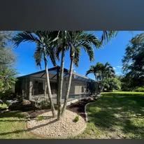 A house with a lot of palm trees in front of it.