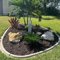 A garden with a palm tree and rocks in the middle of it.