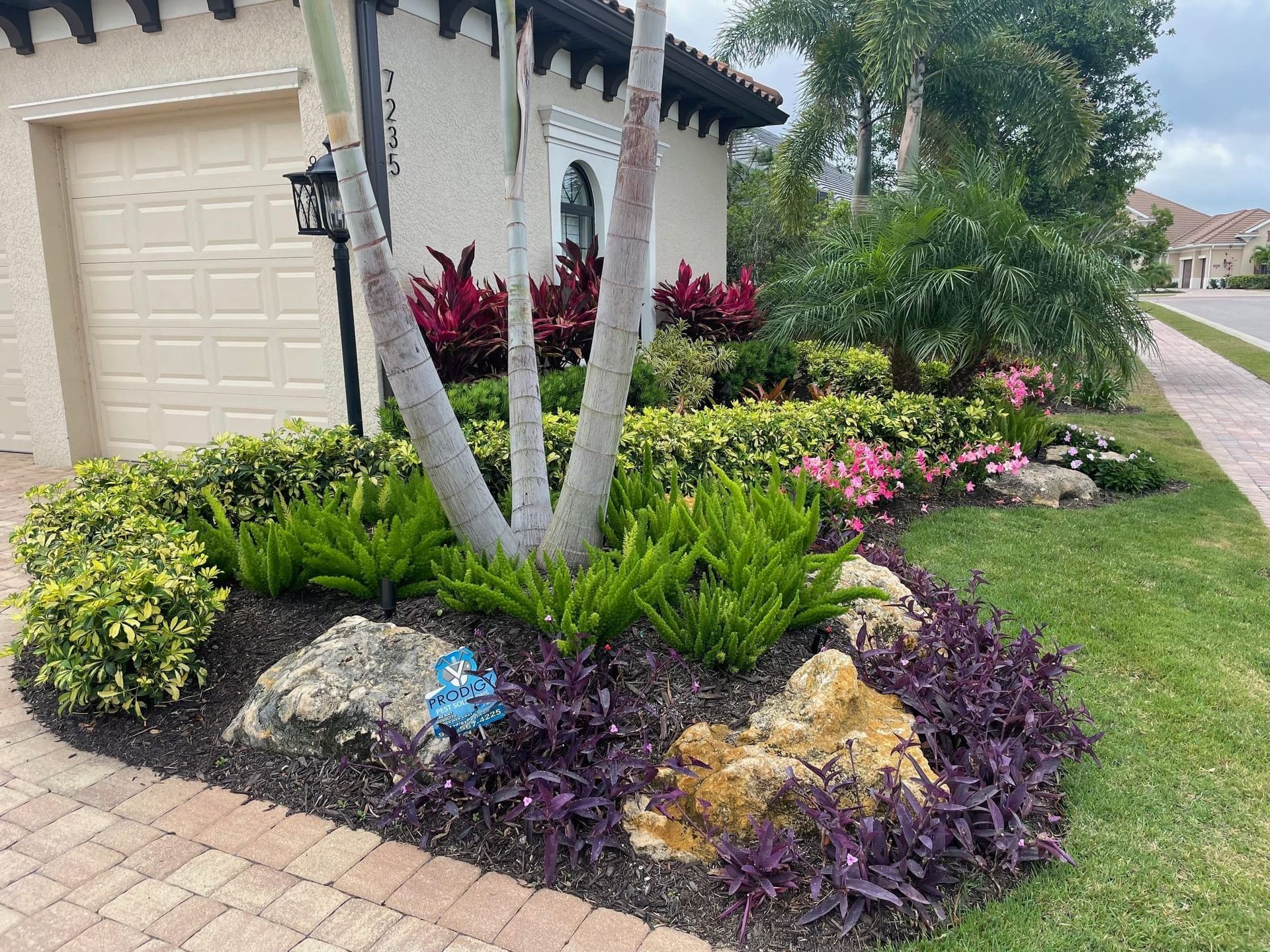 A house with a lot of plants and rocks in front of it.